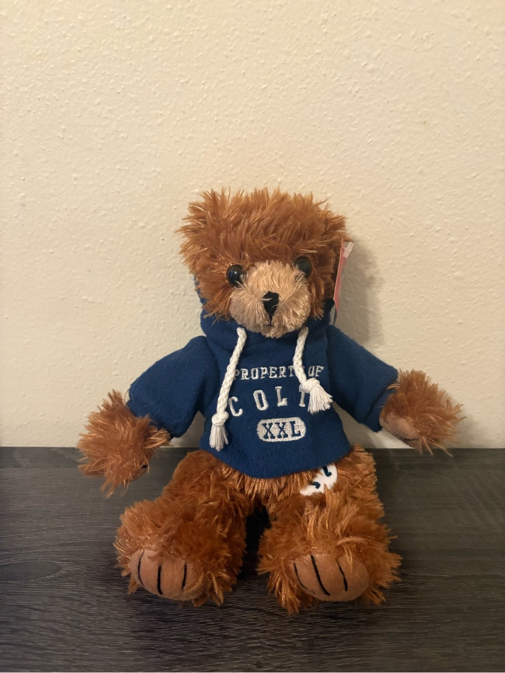 NWT Property Of Indianapolis Colts NFL Good Stuff Bear Plush